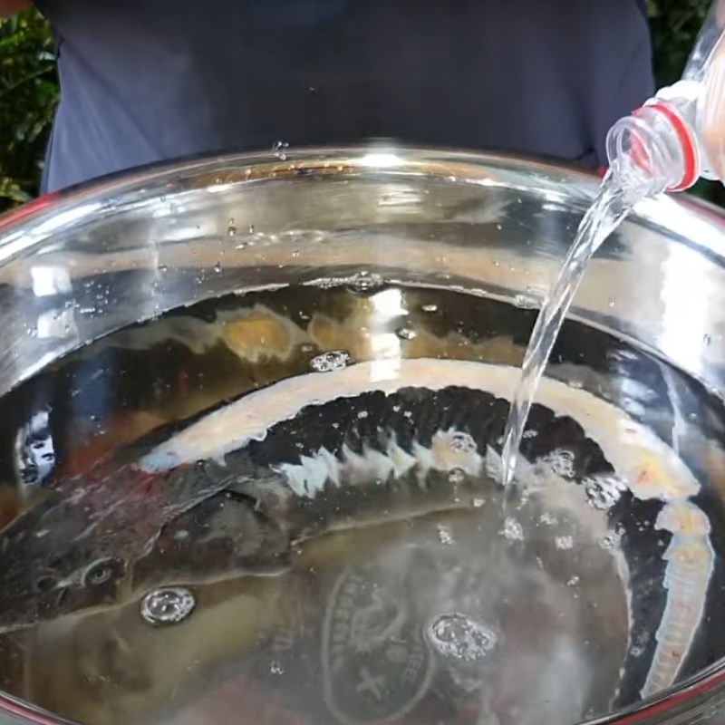 Bước 2 Sơ chế cá tầm Lẩu cá tầm Sapa
