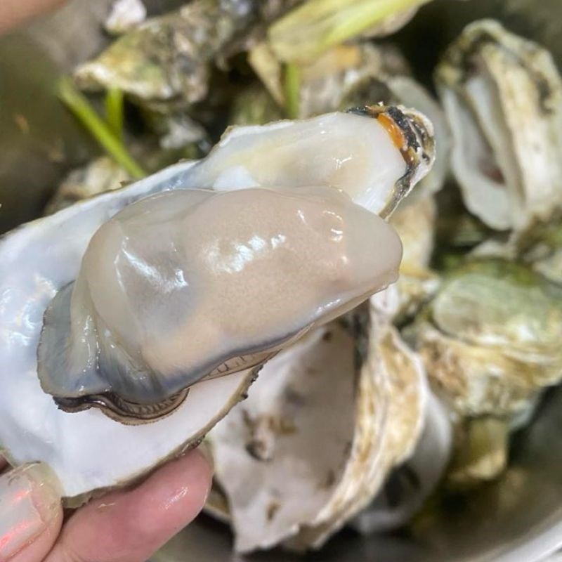 Bước 1 Sơ chế hàu Ruốc hàu