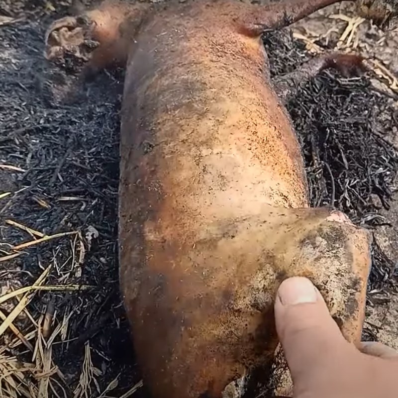 Bước 1 Sơ chế thịt thỏ Thỏ nấu giả cầy miền Bắc