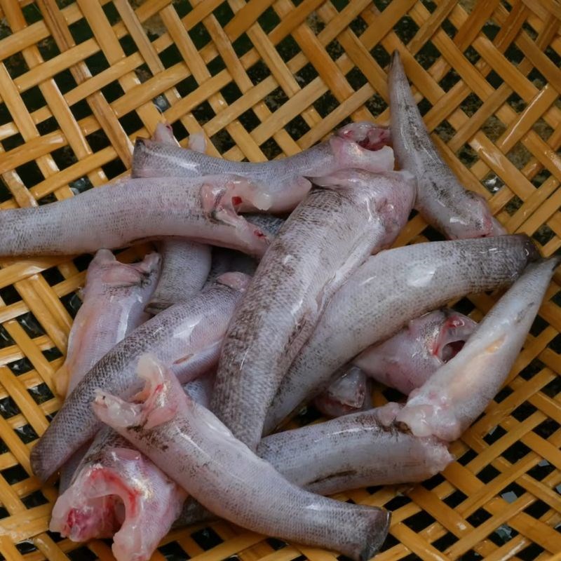 Bước 1 Sơ chế và ướp cá bống dừa Cá bống dừa kho tiêu