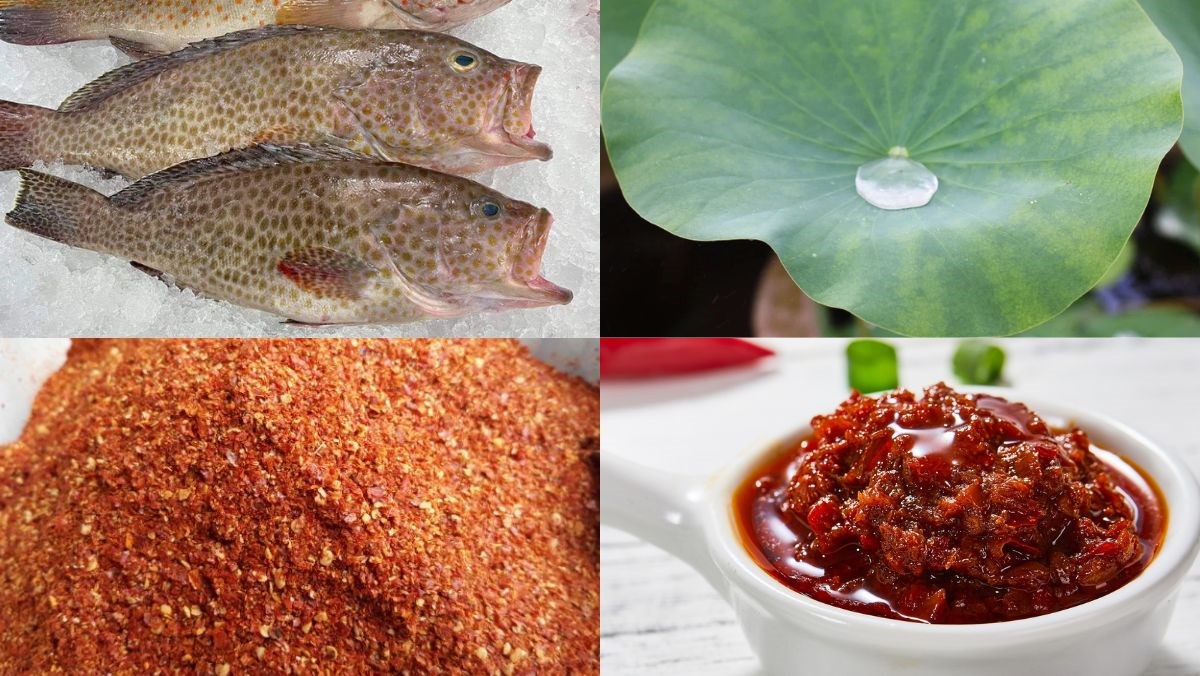 Nguyên liệu món ăn cá mú nướng muối ớt