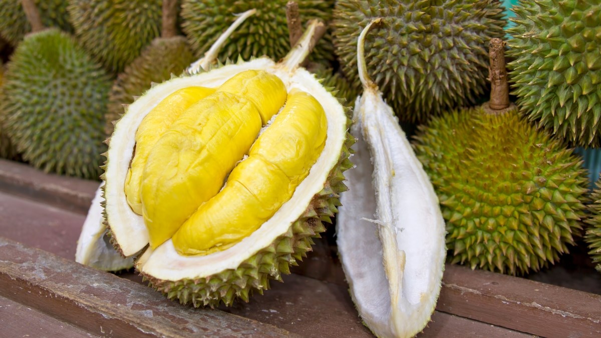 Nguyên liệu món ăn cách làm sầu riêng nướng bằng nồi chiên không dầu