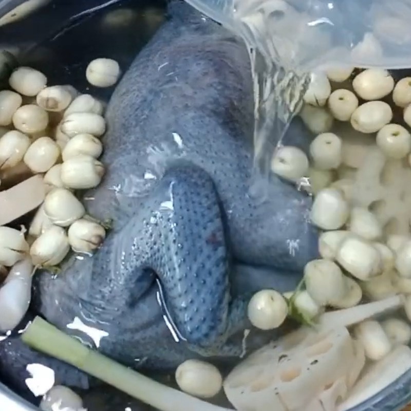 Bước 2 Hầm gà Gà ác hầm hạt sen táo đỏ