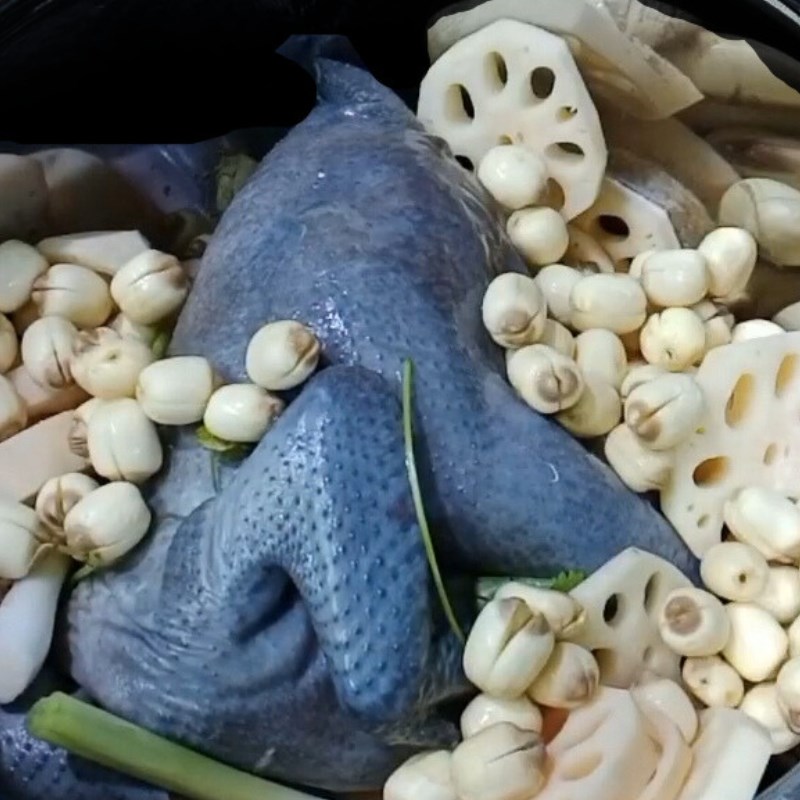 Bước 2 Hầm gà Gà ác hầm hạt sen táo đỏ