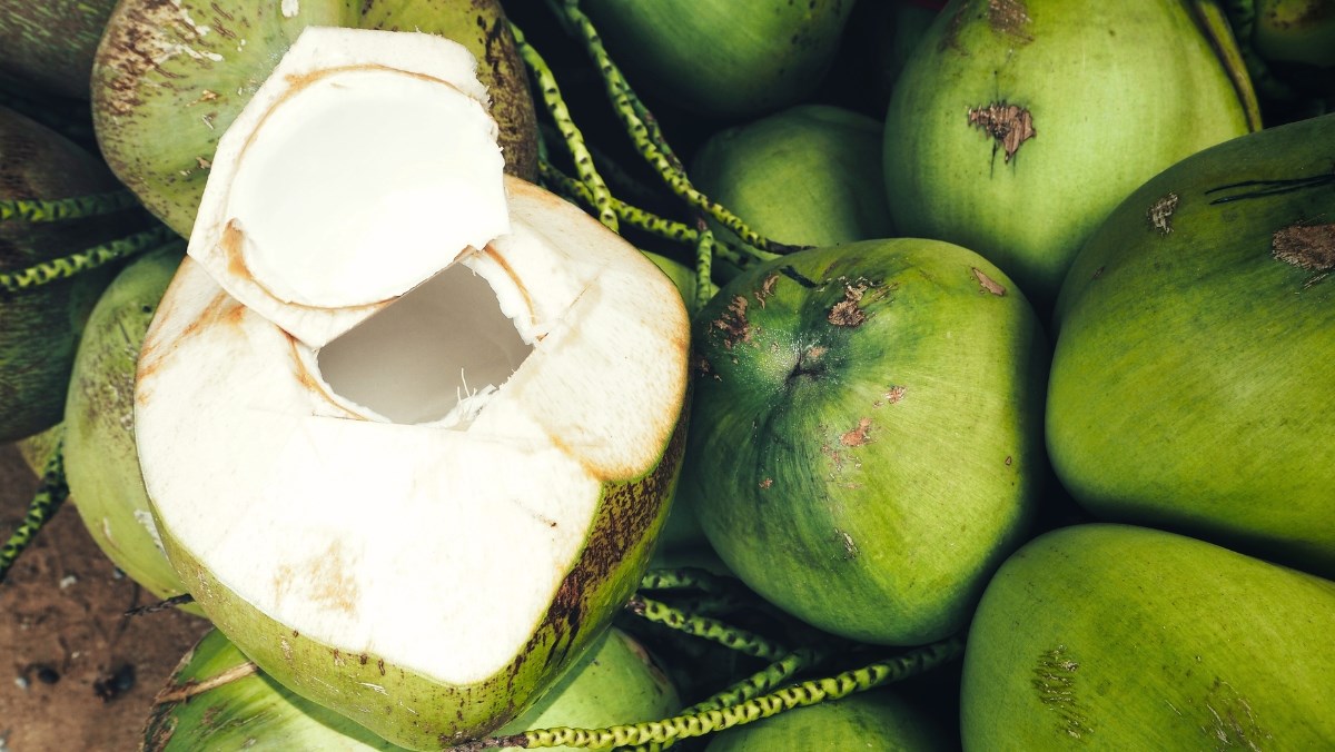 Nguyên liệu món ăn cách nấu nước màu dừa