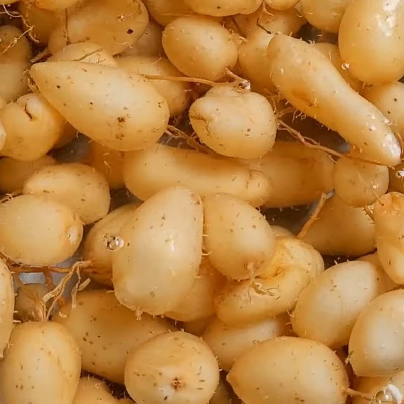 Bước 1 Sơ chế củ lùn Cách luộc củ lùn