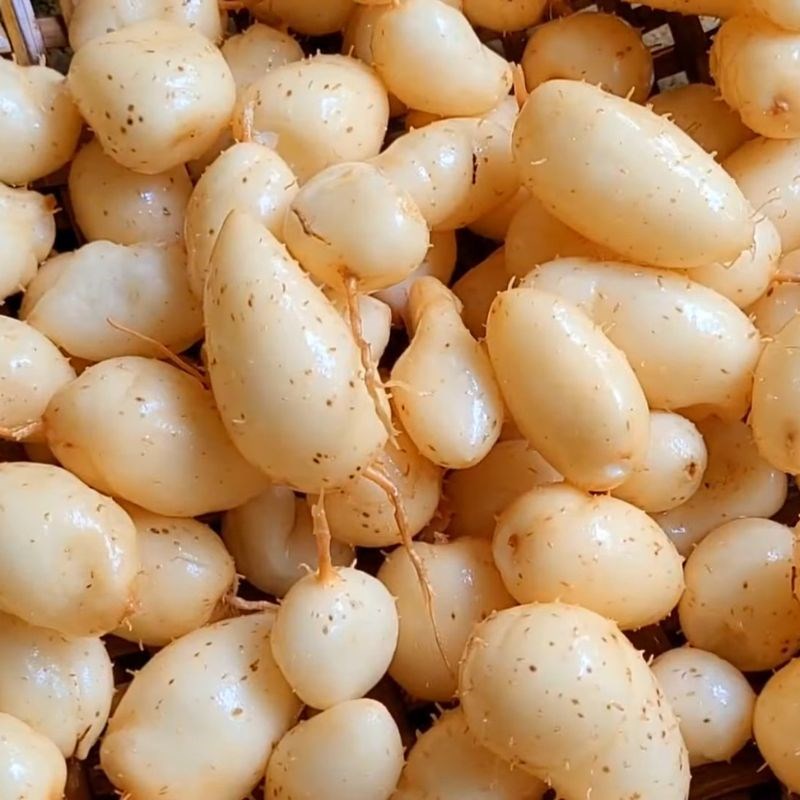 Bước 1 Sơ chế củ lùn Cách luộc củ lùn