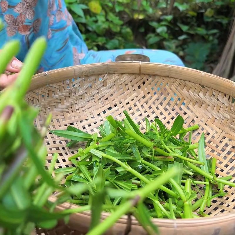 Bước 2 Nhặt rau ngổ Lươn um rau ngổ