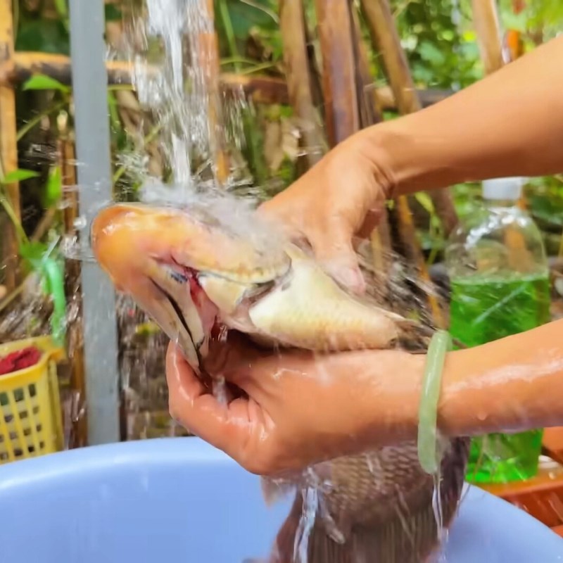 Bước 1 Sơ chế nguyên liệu Cá tai tượng chiên xù cuốn bánh tráng