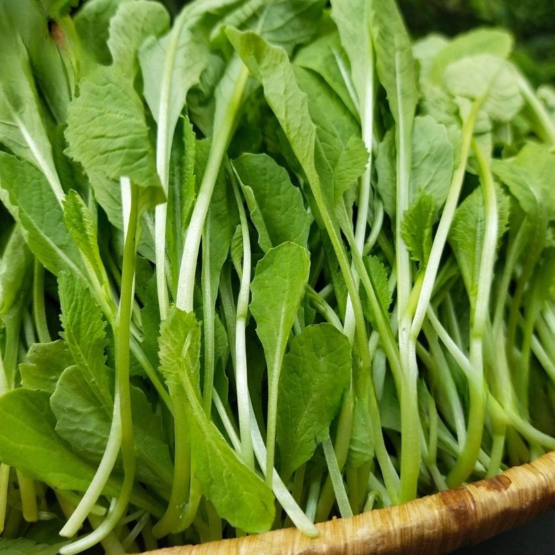 Bước 1 Sơ chế nguyên liệu Canh bon
