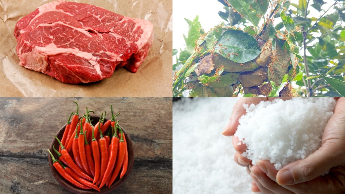 Nguyên liệu món ăn cách làm bò nướng kiến vàng