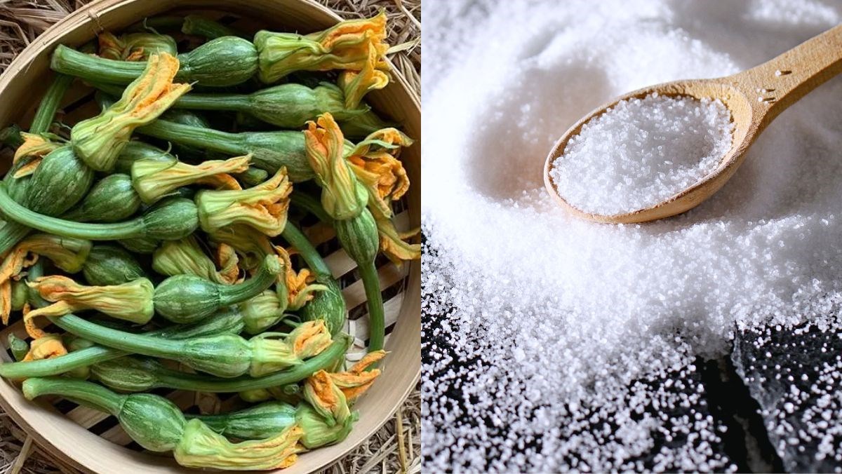 Nguyên liệu món ăn sơ chế bông bí nụ