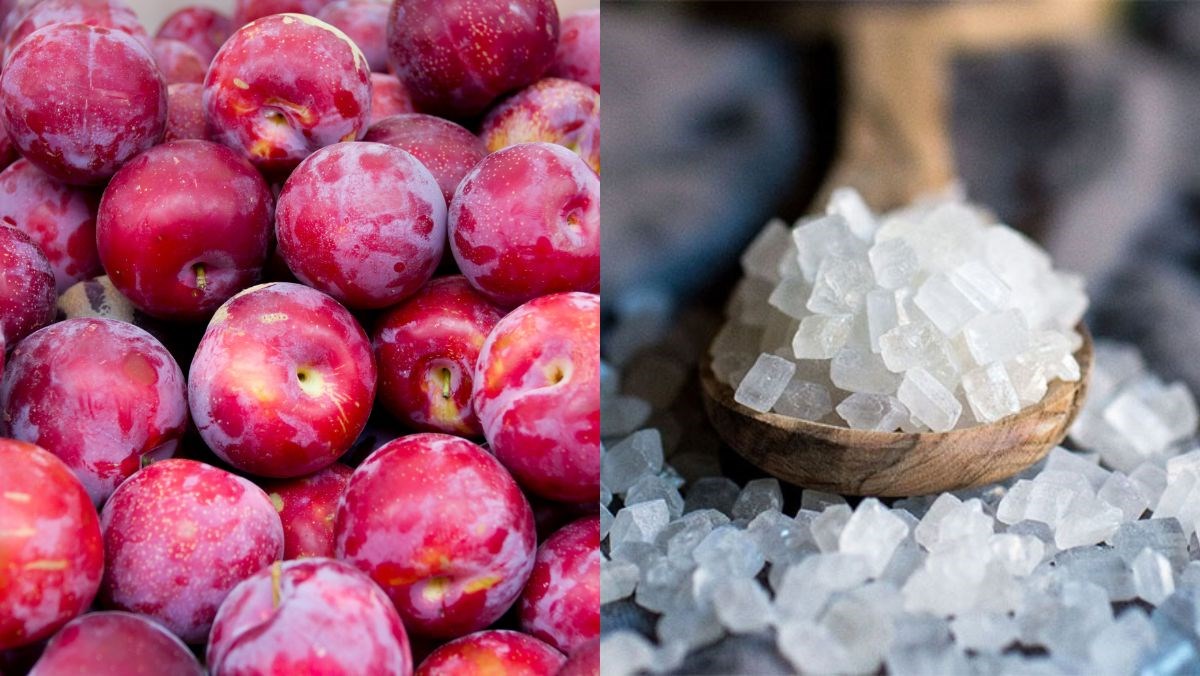 Nguyên liệu món ăn mận ngâm đường phèn