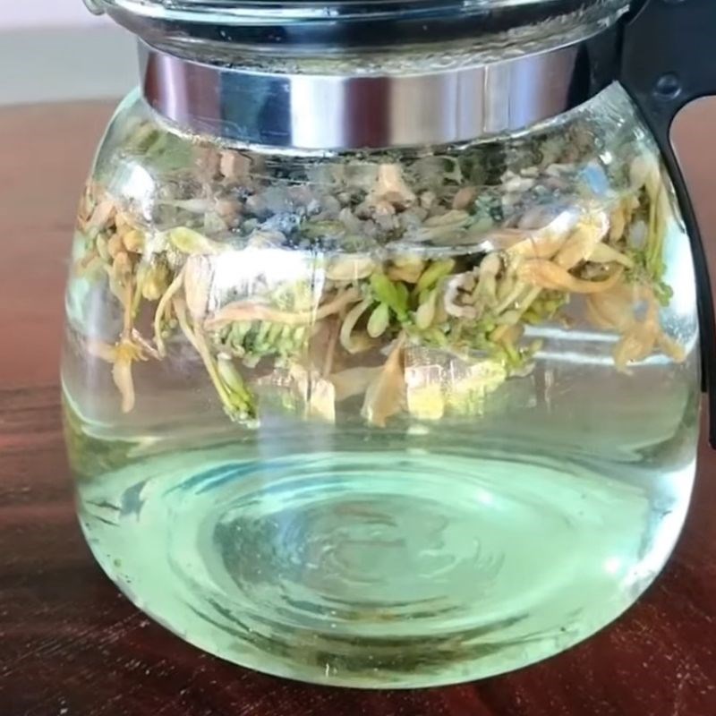 Bước 3 Pha trà hoa đu đủ đực Trà hoa đu đủ đực