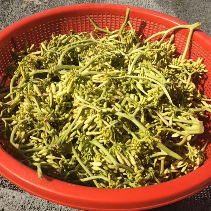 Bước 2 Phơi hoặc sao khô hoa đu đủ đực Ngâm rượu hoa đu đủ đực tươi