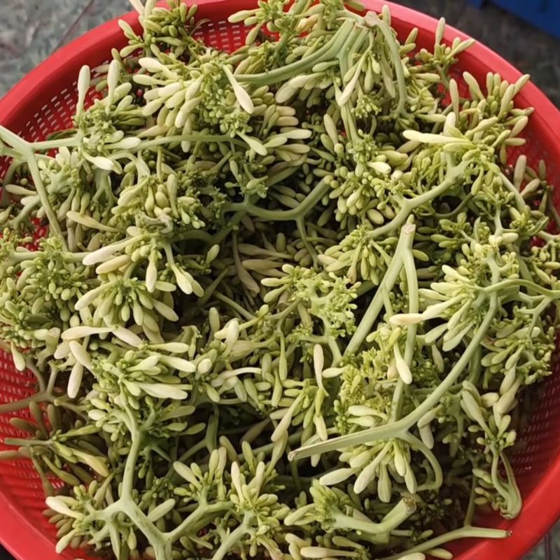 Bước 2 Phơi hoặc sao khô hoa đu đủ đực Ngâm rượu hoa đu đủ đực tươi