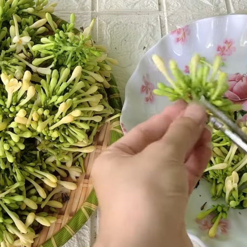 Bước 1 Sơ chế hoa đu đủ đực tươi Trà hoa đu đủ đực