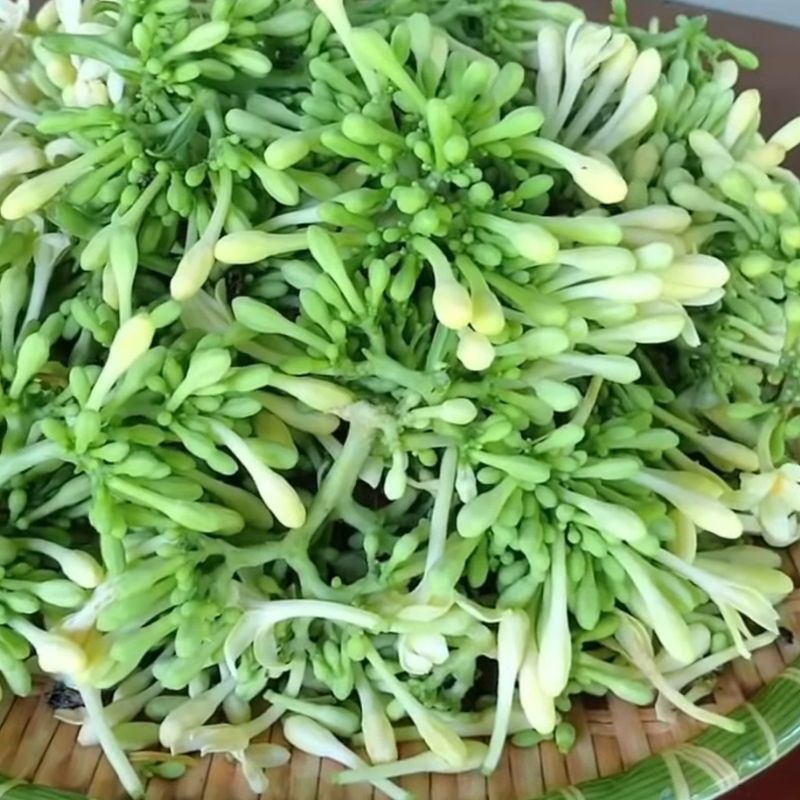 Bước 1 Sơ chế hoa đu đủ đực tươi Trà hoa đu đủ đực