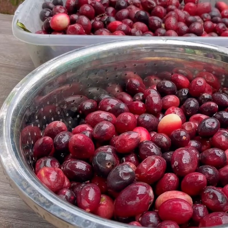 Bước 1 Sơ chế trái siro Nước trái siro