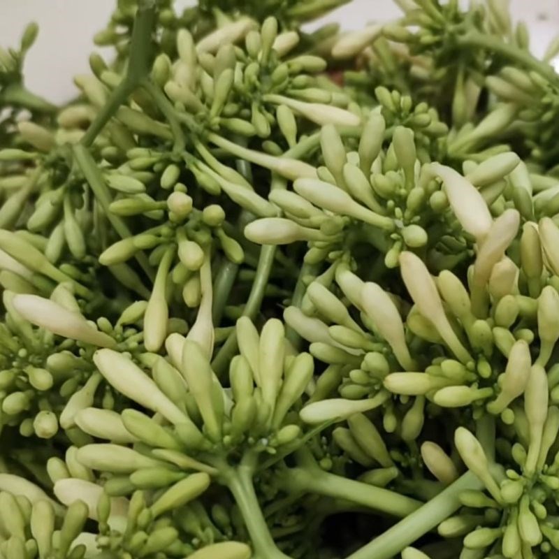 Bước 1 Sơ chế và làm sạch hoa đu đủ đực Ngâm rượu hoa đu đủ đực tươi