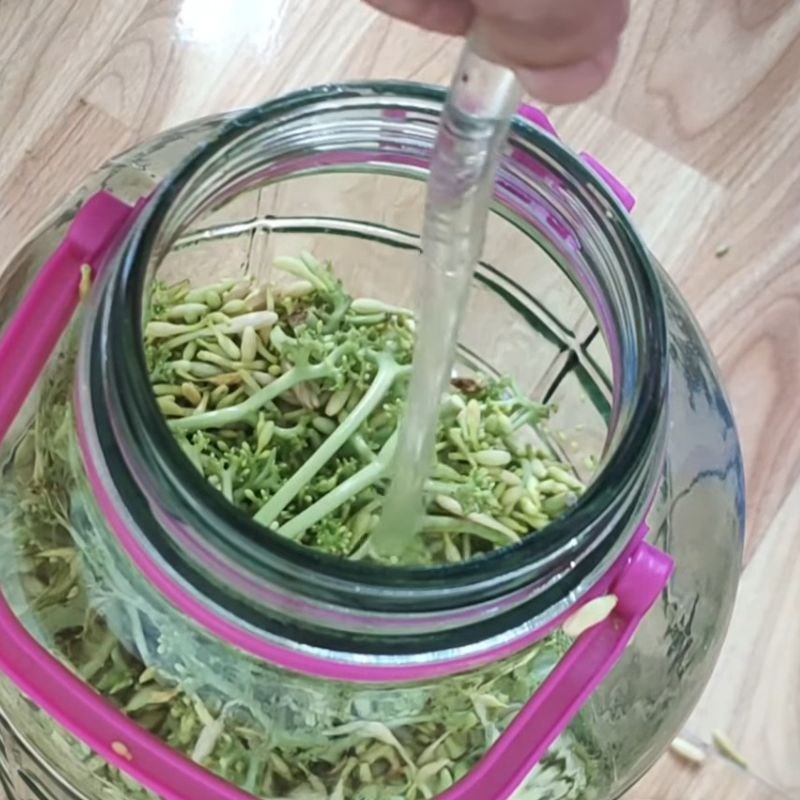 Bước 3 Tiến hành ngâm rượu hoa đu đủ đực Ngâm rượu hoa đu đủ đực tươi