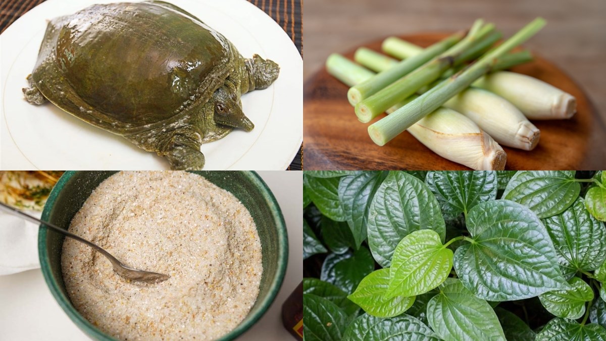 Nguyên liệu món ăn cách làm ba ba rang muối