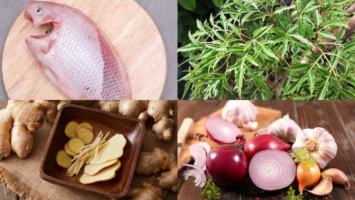 Nguyên liệu món ăn cá hấp đinh lăng