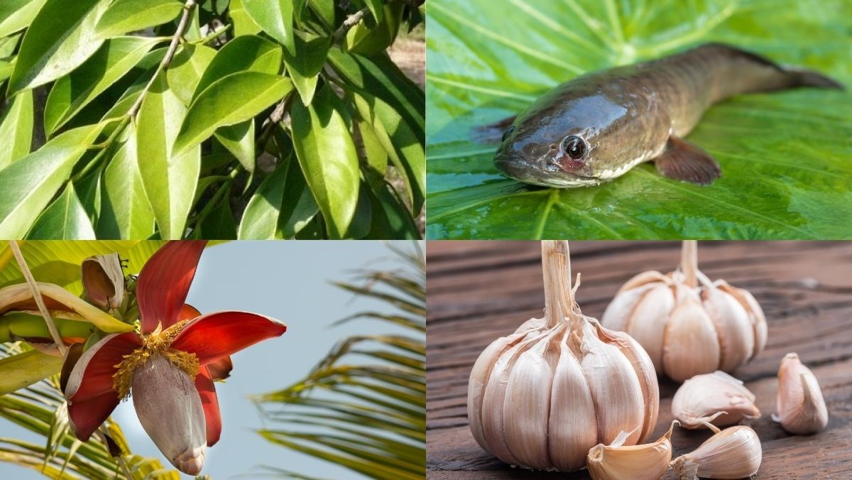 Nguyên liệu món ăn lá bứa nấu canh chua