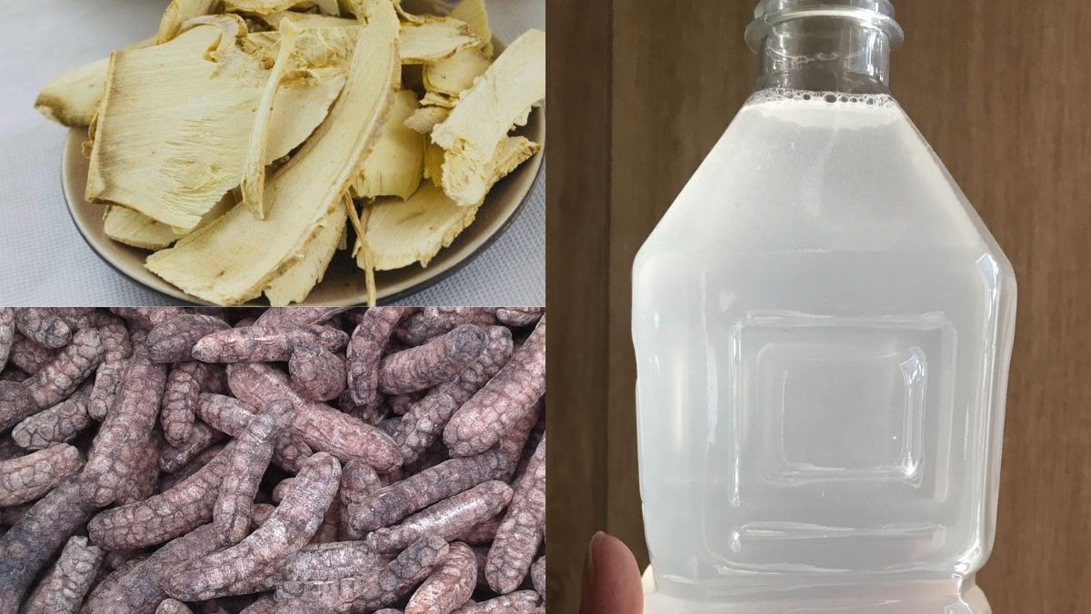 Nguyên liệu món ăn rượu đinh lăng