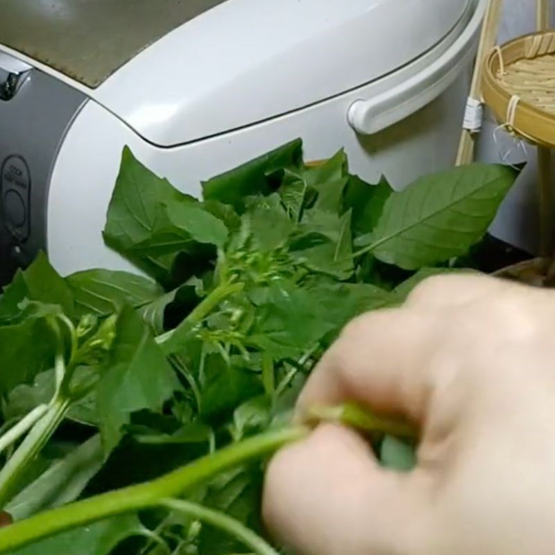 Bước 1 Sơ chế rau tầm bóp tươi ngon Rau tầm bóp nấu canh