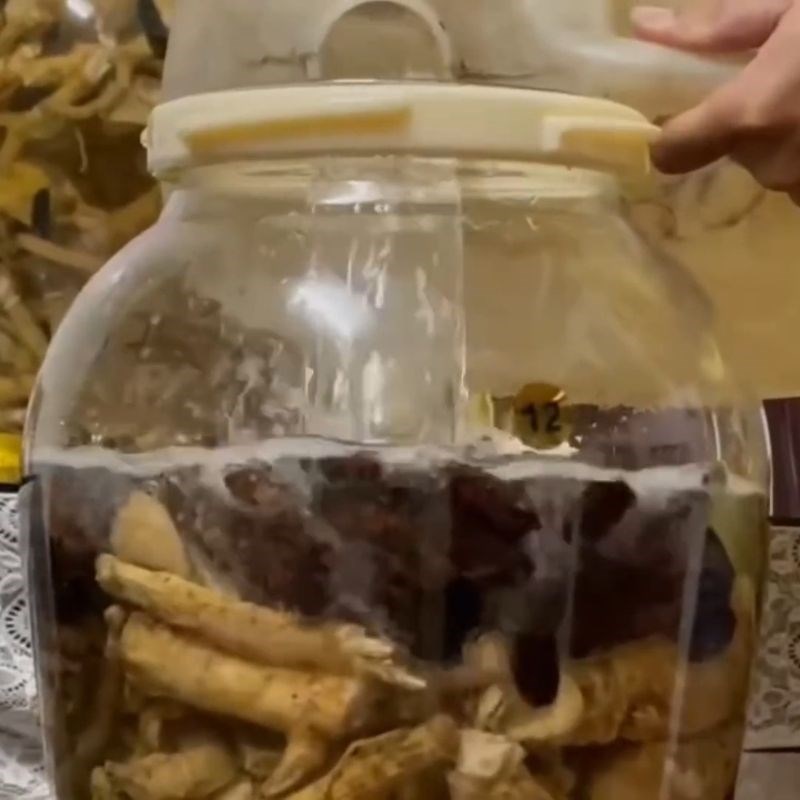 Bước 4 Chế rượu và niêm phong Rượu đinh lăng