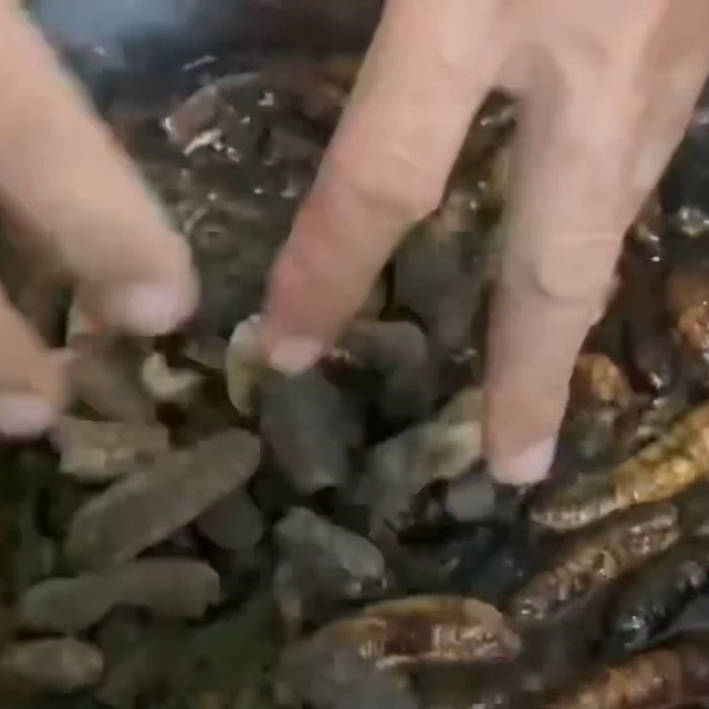 Bước 2 Sơ chế chuối hột rừng Rượu đinh lăng