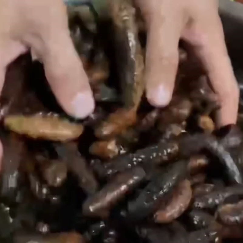 Bước 2 Sơ chế chuối hột rừng Rượu đinh lăng