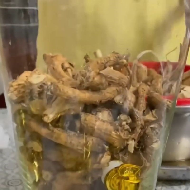 Bước 3 Xếp nguyên liệu vào bình Rượu đinh lăng