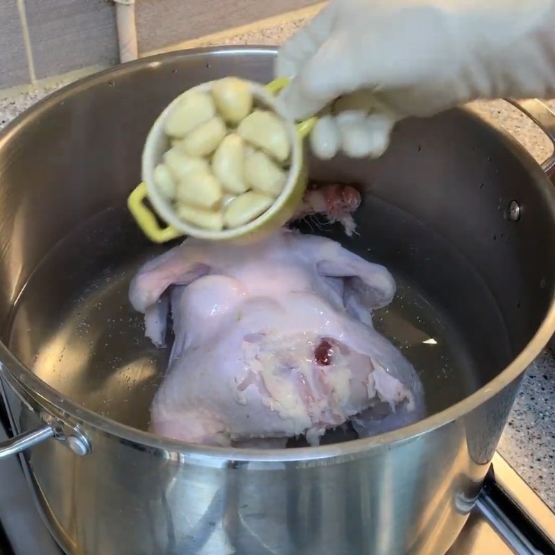 Bước 2 Hầm gà cùng sâm tươi và các nguyên liệu khác Gà hầm sâm Hàn Quốc