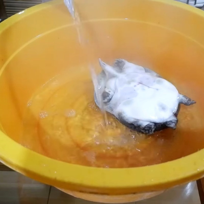 Bước 1 Sơ chế ba ba Ba ba rang muối