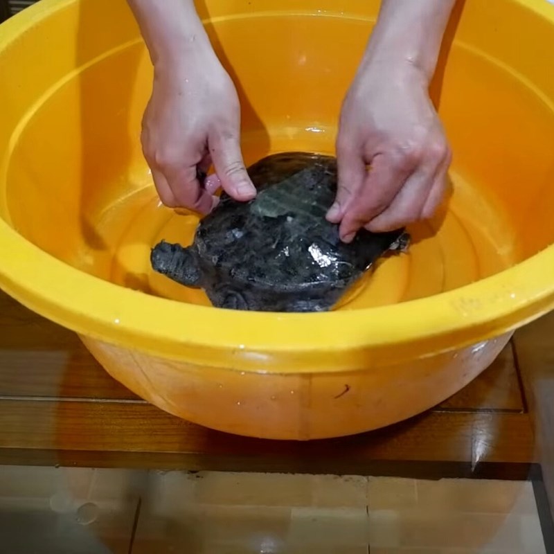 Bước 1 Sơ chế ba ba Ba ba rang muối