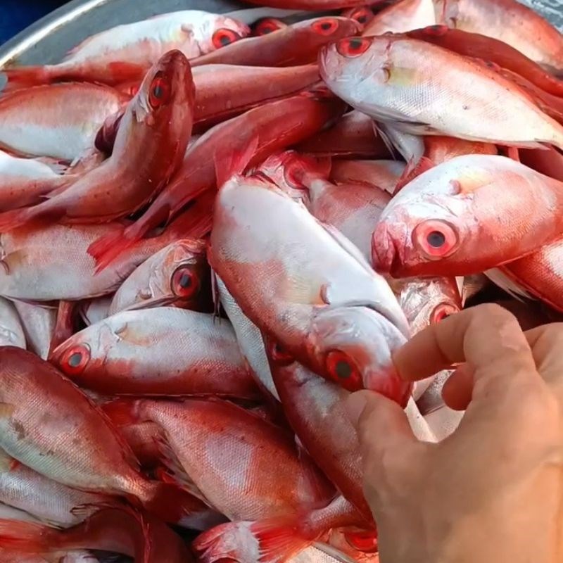 Bước 1 Sơ chế cá bã trầu và luộc sơ Bánh canh cá bã trầu