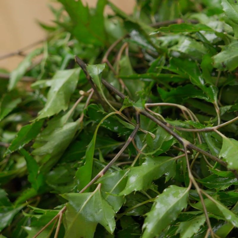 Bước 1 Sơ chế cá và các nguyên liệu hấp kèm Cá hấp đinh lăng