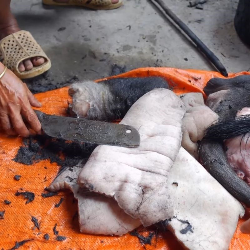 Bước 1 Sơ chế da trâu tươi Da trâu muối chua