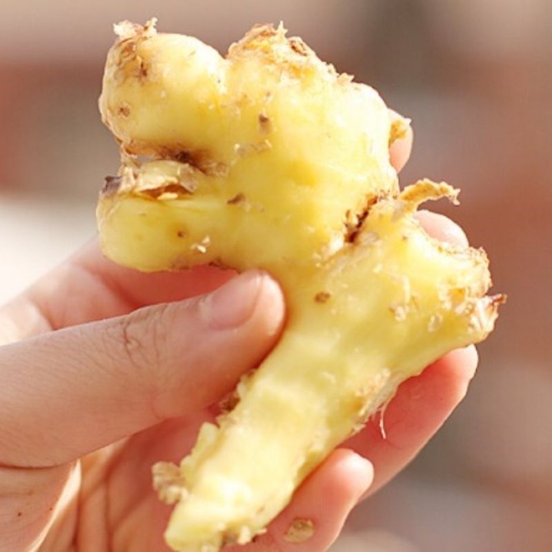 Bước 1 Sơ chế đậu đen và gừng tươi Nước đậu đen với gừng