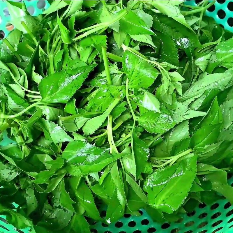 Bước 1 Sơ chế nguyên liệu Rau xuyến chi xào tỏi