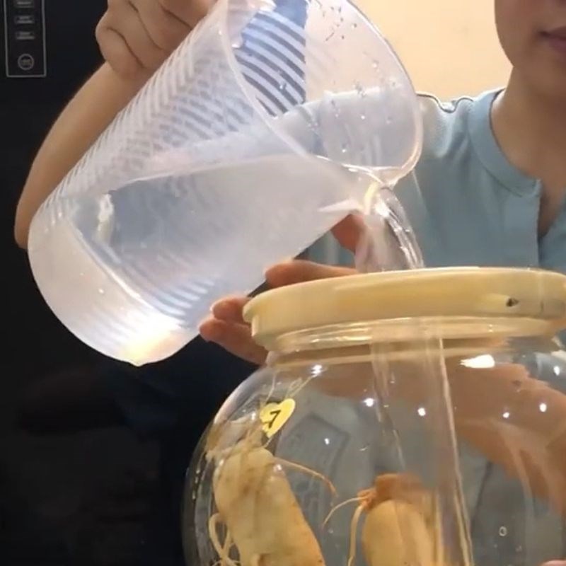 Bước 3 Tiến hành ngâm rượu nhung hươu Nhung hươu ngâm rượu