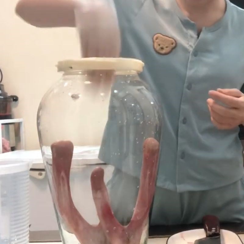 Bước 3 Tiến hành ngâm rượu nhung hươu Nhung hươu ngâm rượu