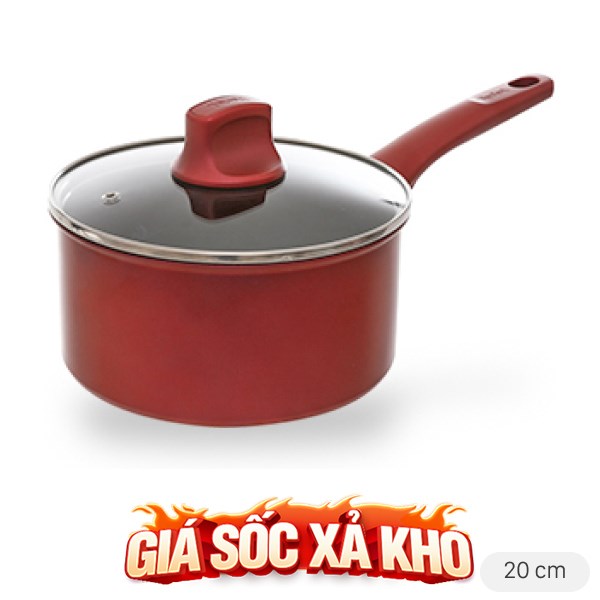Quánh nhôm chống dính nắp kính 20 cm Tefal C6822472