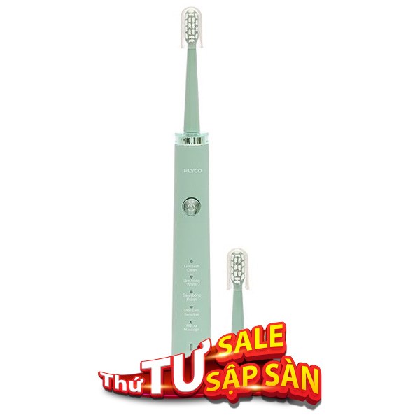 Bàn chải điện Flyco FT1701VN
