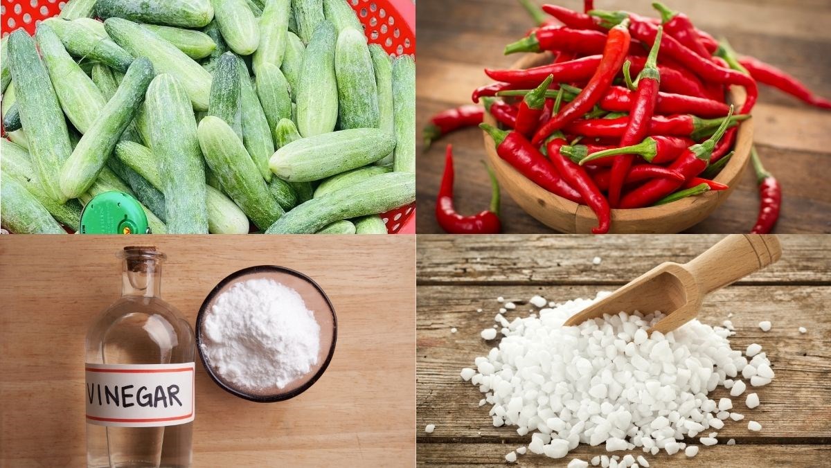 Nguyên liệu món ăn dưa leo ngâm mắm đường