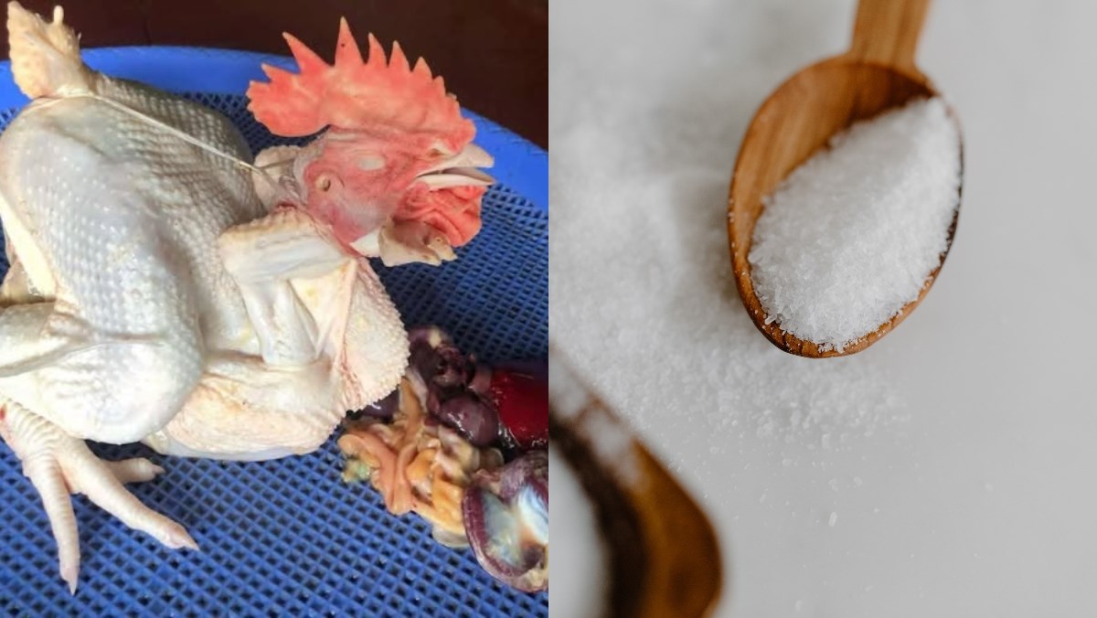 Nguyên liệu món ăn bí quyết luộc gà lễ đẹp