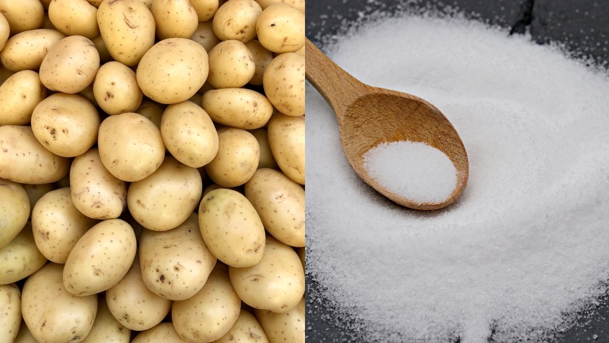 Nguyên liệu món ăn cách làm khoai tây chiên kfc