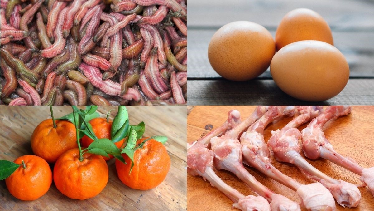 Nguyên liệu món ăn lẩu rươi